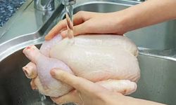 Tavuk yerken dikkat! Bunu bilmeyenler zehirleniyor