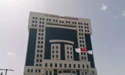 Tarım ve Orman Bakanlığı'ndan Hırvatistan'da düşen ve bir pilotun şehit olduğu uçak kazası hakkında açıklama