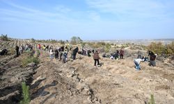 Eskişehir'de 170 fidan toprakla buluştu