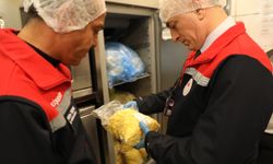 Eskişehir'deki gıda denetimlerinde AVM'de bulunan 2 işletmede aykırılık tespit edildi