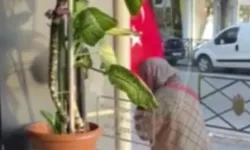 Eskişehir'de yaşlı kadın Türk bayrağını defalarca kez öptü