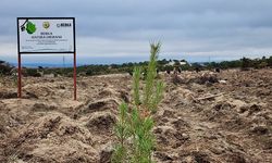 BEBKA Eskişehir'de hatıra ormanı kurdu