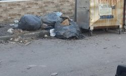 71 Evler Mahallesi'nde toplanmayan çöpler tepki çekti