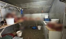 215 kilogram kaçak at eti ele geçirilmişti: Çifteler Belediyesi'nden açıklama