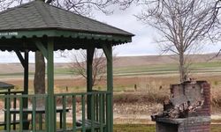 Çifteler'de vandallar yine iş başında