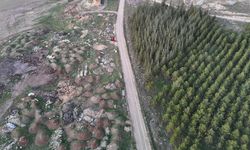 Eskişehir'de bir tarafta orman bir tarafta çöp dağları!