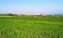 Belediye Batıkent Mahallesi'nde arsa satacak