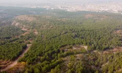 Bu alanlar doğayla iç içe: Eskişehir'in piknik alanları