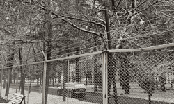 Eskişehir'de beklenen kar geldi!