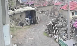 Dehşete düşüren görüntüler ortaya çıktı! Eşine sopayla defalarca vurdu