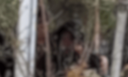 Eskişehir Millet Bahçesi'nde uygunsuz görüntü