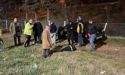 Eskişehir'de otomobil yoldan çıktı: Yardıma vatandaşlar koştu