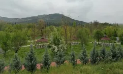 Eskişehir'de ormanlara giriş yasağı başlıyor! Ateşli piknik yapılabilecek yerler açıklandı