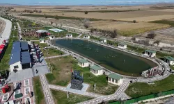 Eskişehir 2025'te yeşile büründü