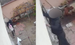 Eskişehir'de hırsızlık iddiası: Sokak Sokak geziyor...