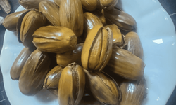 Eskişehir'de kestane değil, meşe palamudu yeniyor