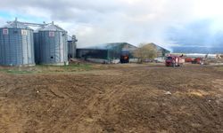 Eskişehir'de çitlikte meydana gelen yangın sonrası yerinde inceleme