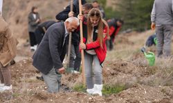 TUSAŞ’tan şehitler için fidan dikimi: Seyitgazi’deki yangında şehit olan Muharrem Can unutulmadı