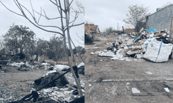 Eskişehir'de tepki çeken görüntüler: "Buranın Hindistan sokaklarından farkı yok"