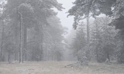 Eskişehir'e mevsimin ilk karı yağdı