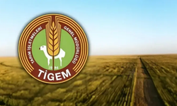 Tarım İşletmeleri Genel Müdürlüğü Eskişehir'de işçi alımı yapacak! İşte başvuru tarihi