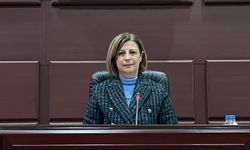 "Madene karşı çıkmamız söz konusu olmadı"