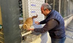 Eskişehir'de taksiciler sokaktaki canlara sahip çıkıyor