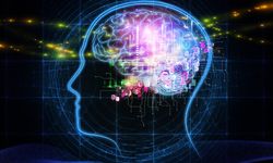 Yapay zekanın bilemediği o soru açıklandı