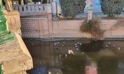 Eskişehir'de Porsuk Çayı buz tuttu