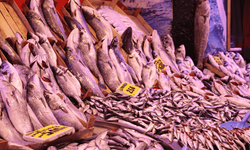 Eskişehir'deki balık tezgahlarında son durum: Kilosu en az 700 liradan satılıyor