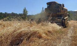 Tarım ile uğraşanları üzecek karar! Bir ayda ikinci zam geldi