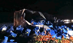 Eskişehir yolunda tır devrildi! Kilolarca meyve yola saçıldı