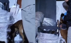 Eskişehir yolunda uyuşturucu taşımacılığında kurnaz yöntem: 42 kilo esrar ele geçirildi