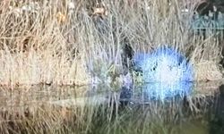 Eskişehir'de araç suya battı: Ekipler seferber oldu