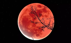 Eskişehir'de ay kan kırmızısına bürünecek: 82 dakika sürecek