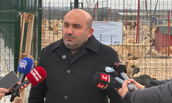 Gürhan Albayrak'tan barınak tepkisi: "Bu tablo ağır bir ihmalin belgesidir"