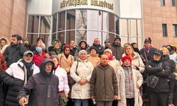 Eskişehir'de hayvan hakları savunucuları tepkili: "Hayvanlar barınaklara sürüldü"