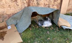 Eskişehir'de yürekleri ısıtan görüntü