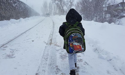 Eskişehir'in bir ilçesinde okullar tatil edildi