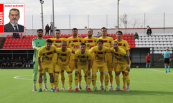 Şimşekler dolu dizgin