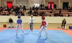 Okul Sporları devam ediyor: Masa Tenisi ve Taekwando müsabakalarının tarihi belli oldu