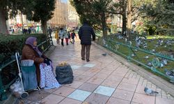 Reşadiye Cami'nin avlusunda 9 saat kuş yemi satıyor: 74 yaşında cezaevindeki yakınlarını geçindiriyor