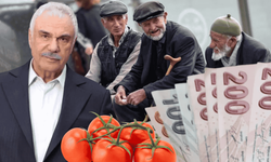 Usta sanatçı 5 domatese 450 TL ödedi! Halil Ergün emekli maaşına isyan etti