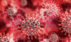 Uzmanlar acil tehdit dedi: İlaçlara dirençli mantar hızla yayılıyor