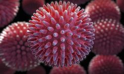 Sağlık dünyası teyakkuzda: Candida auris için “sessiz pandemi” benzetmesi