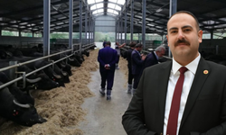 Artan talebi karşılamak için İnönü’ye manda çiftliği kuruluyor