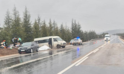 Eskişehir yolunda minibüs şarampole savruldu