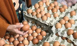 Eskişehir'de market rafları değişiyor: Kahverengi yumurta tarihe mi karışıyor?