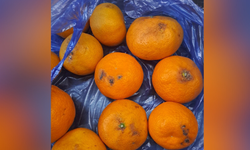 Eskişehir'de pazardan alınan mandalinalar tepki çekti: "Hepsi çürük çıktı"