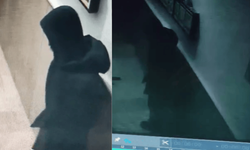 Eskişehir'de vatandaşlar tedirgin: Binanın içine elini koluna sallayarak girdi